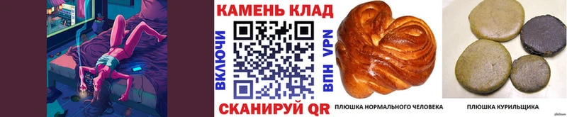 ГАШ AMNESIA HAZE  Купить закладки  Вяземский 