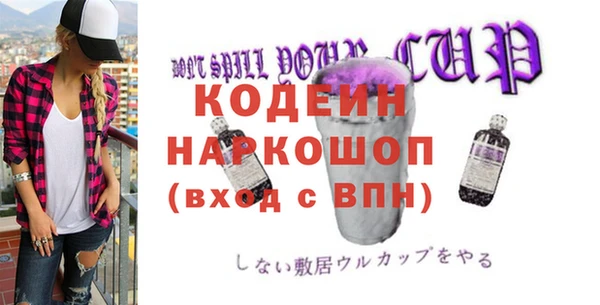индика Заволжск