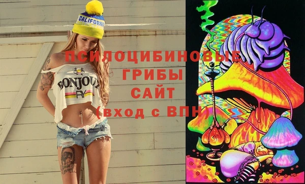 индика Заволжск