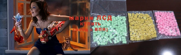 индика Заволжск