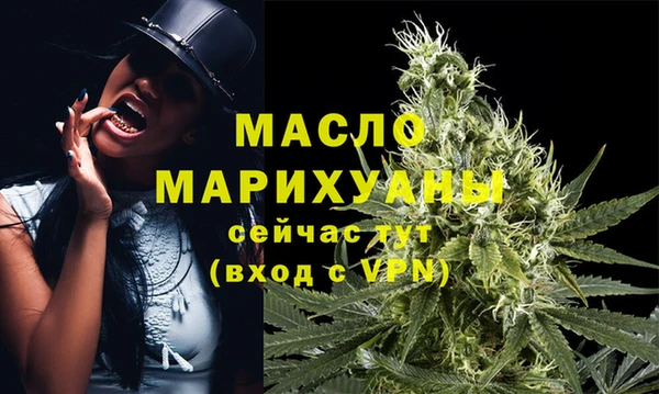 индика Заволжск