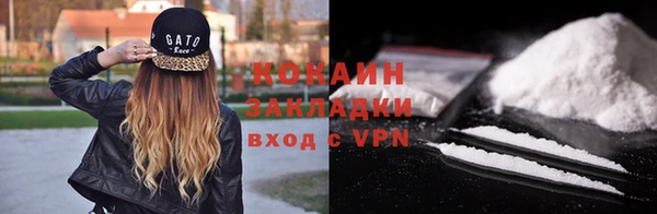 индика Заволжск