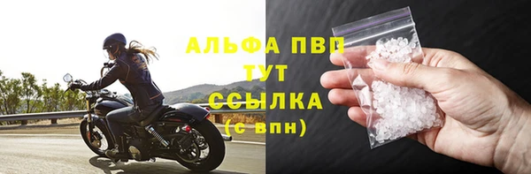 индика Заволжск