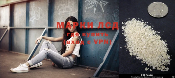 индика Заволжск