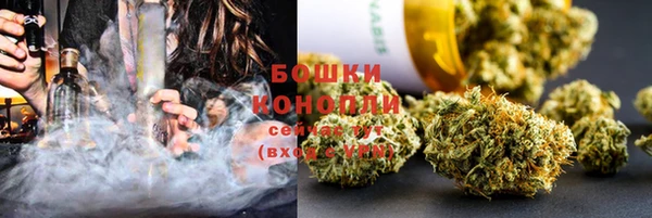 индика Заволжск