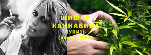 индика Заволжск