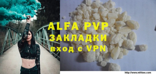 индика Заволжск
